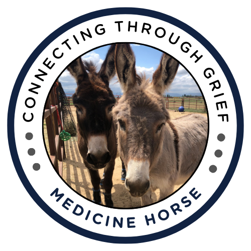 Connecting through Grief - Spring 2026 - logo